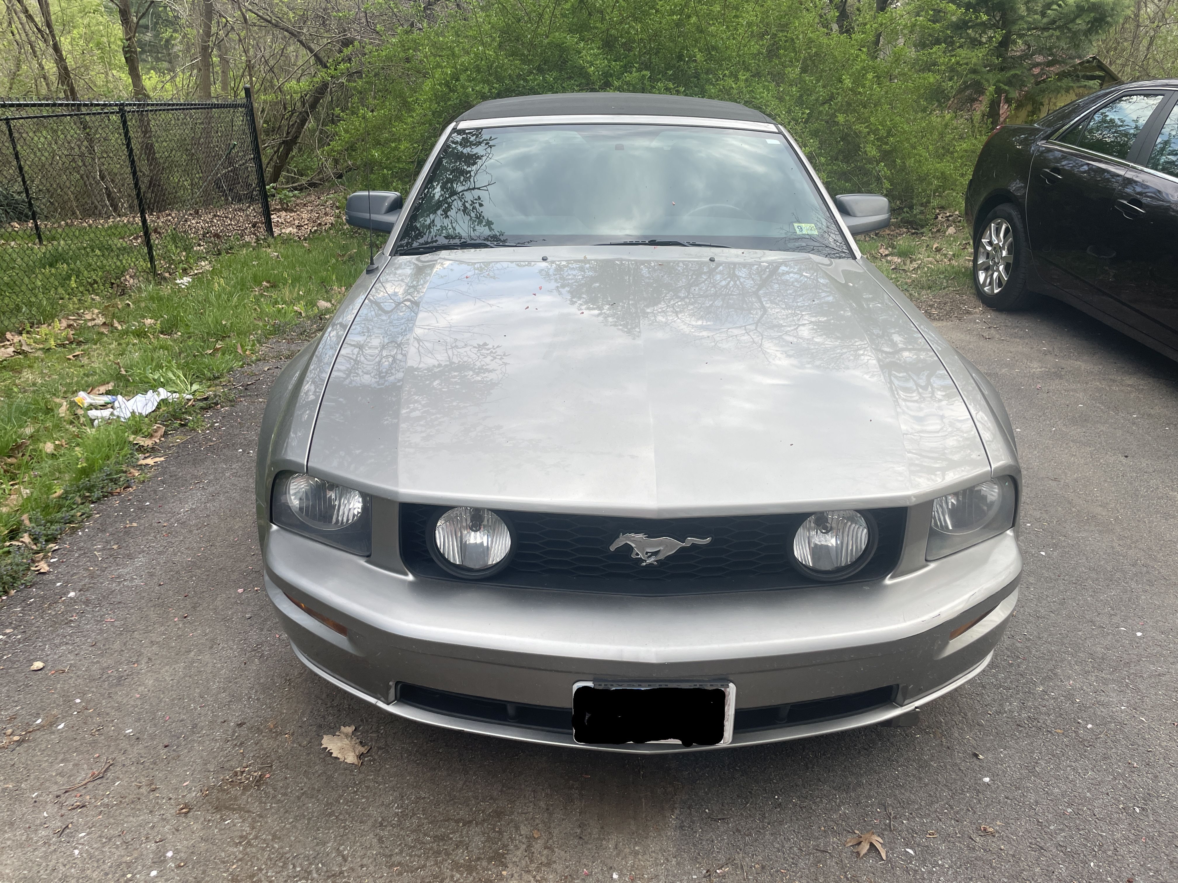 Used 2008 Ford Mustang GT RWD image 2