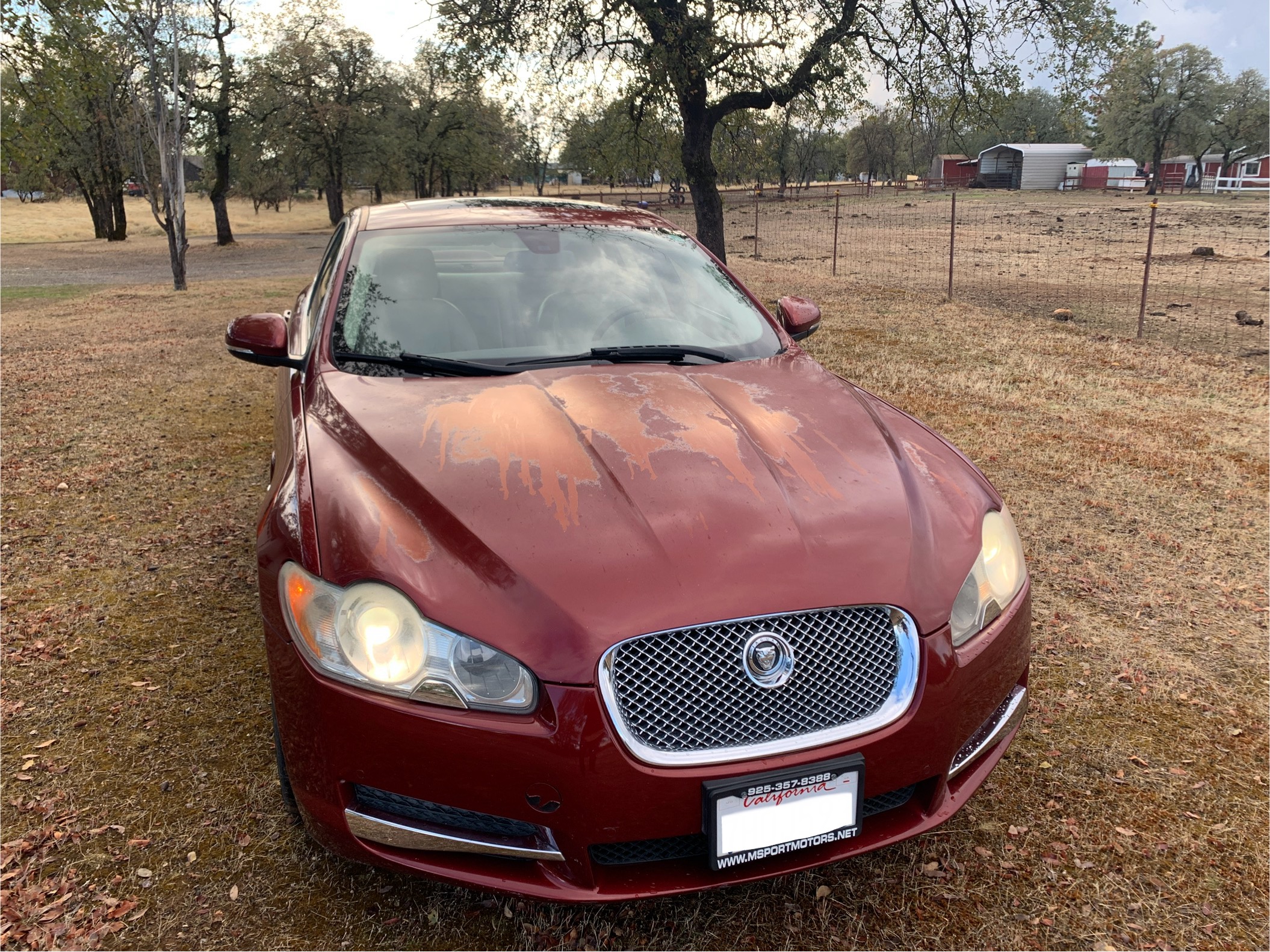 Used 2011 Jaguar XF Premium RWD image 9