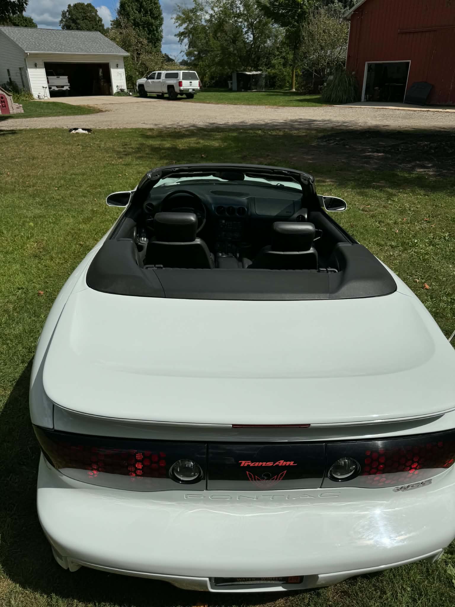 Used 2000 Pontiac Firebird Trans Am RWD image 8