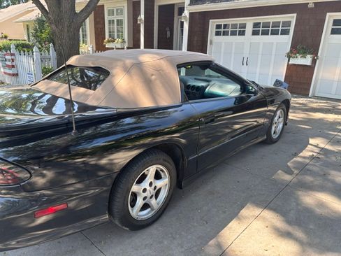Used 1995 Pontiac Firebird Trans Am RWD image 13