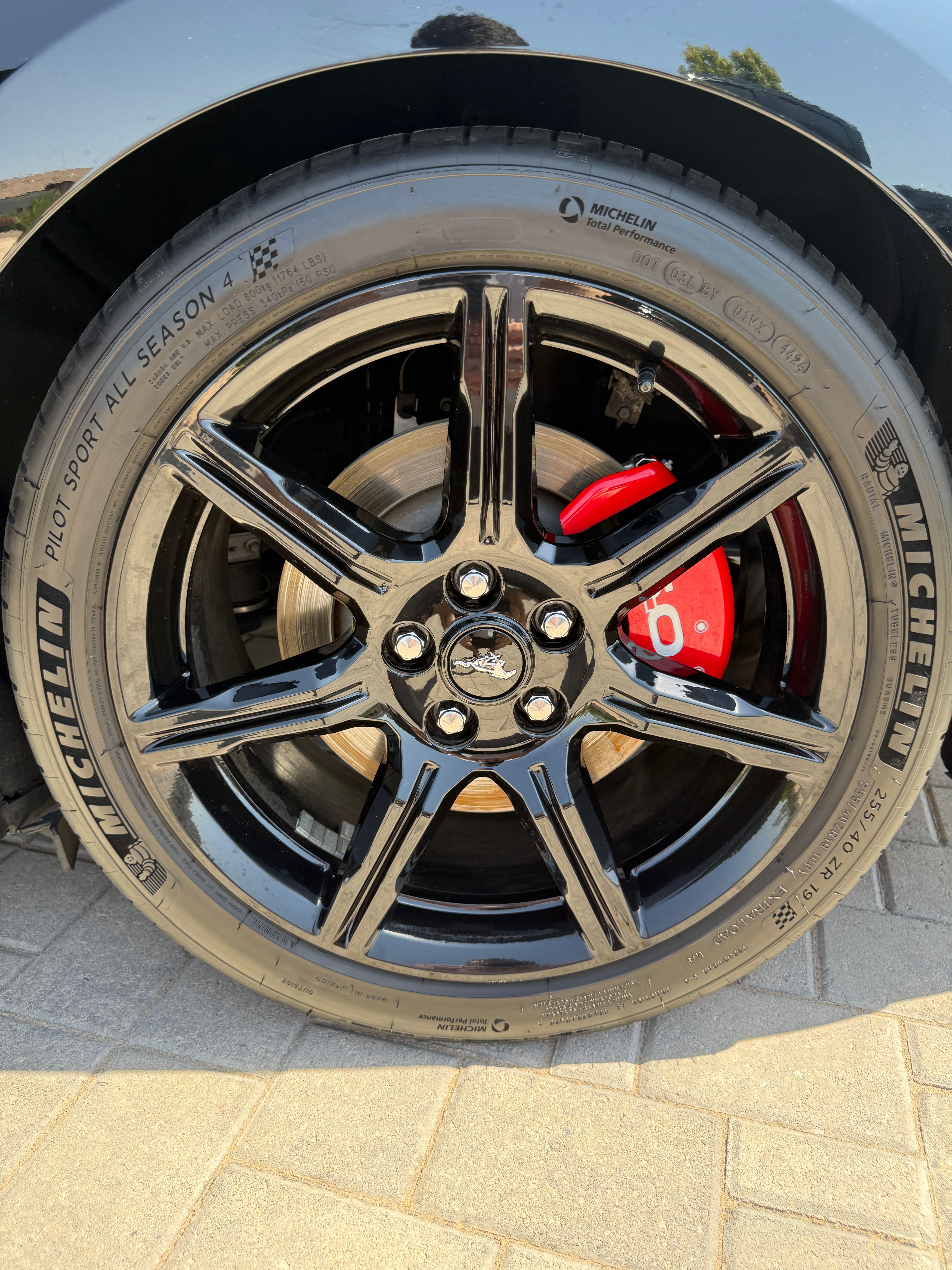 Used 2019 Ford Mustang GT Premium w/ Equipment Group 401A RWD image 9