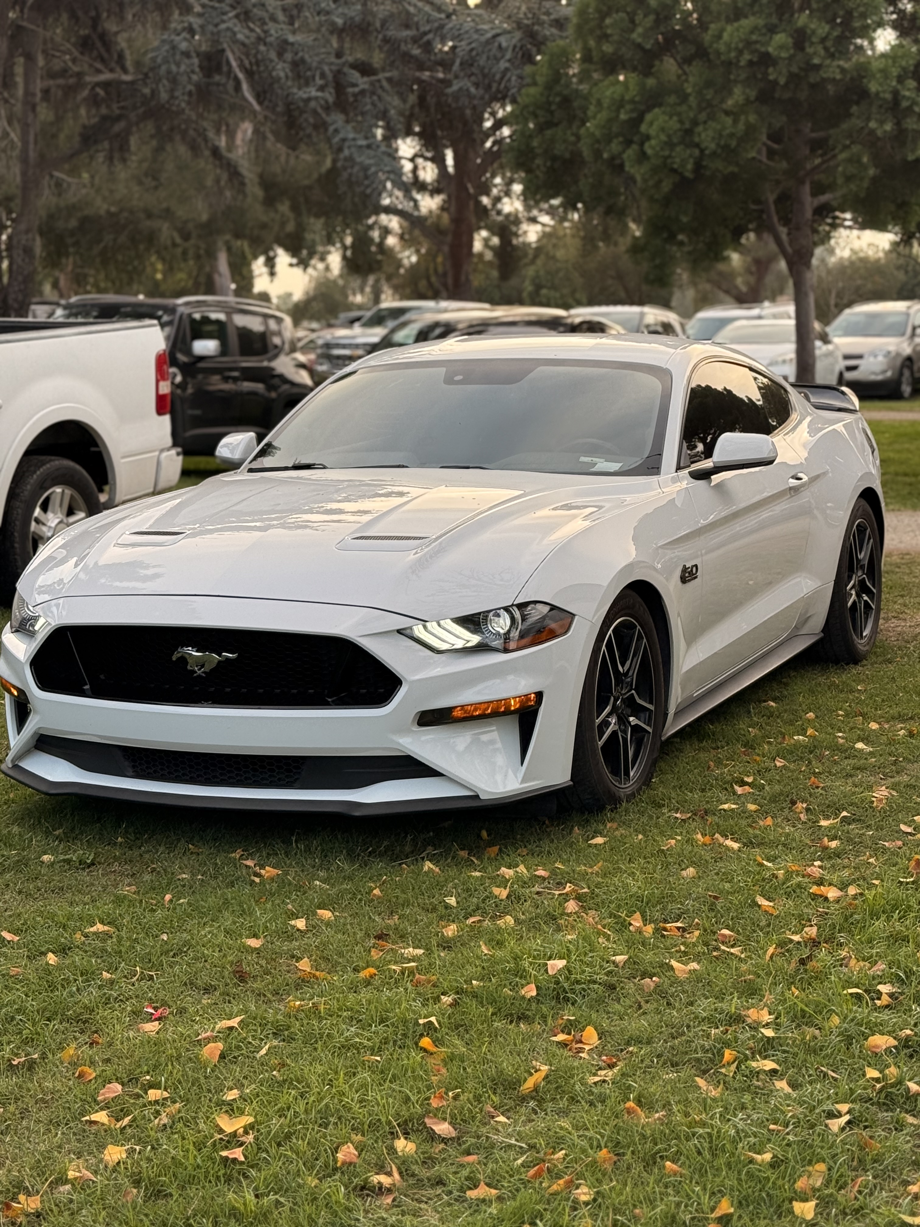 Used 2018 Ford Mustang GT RWD image 1