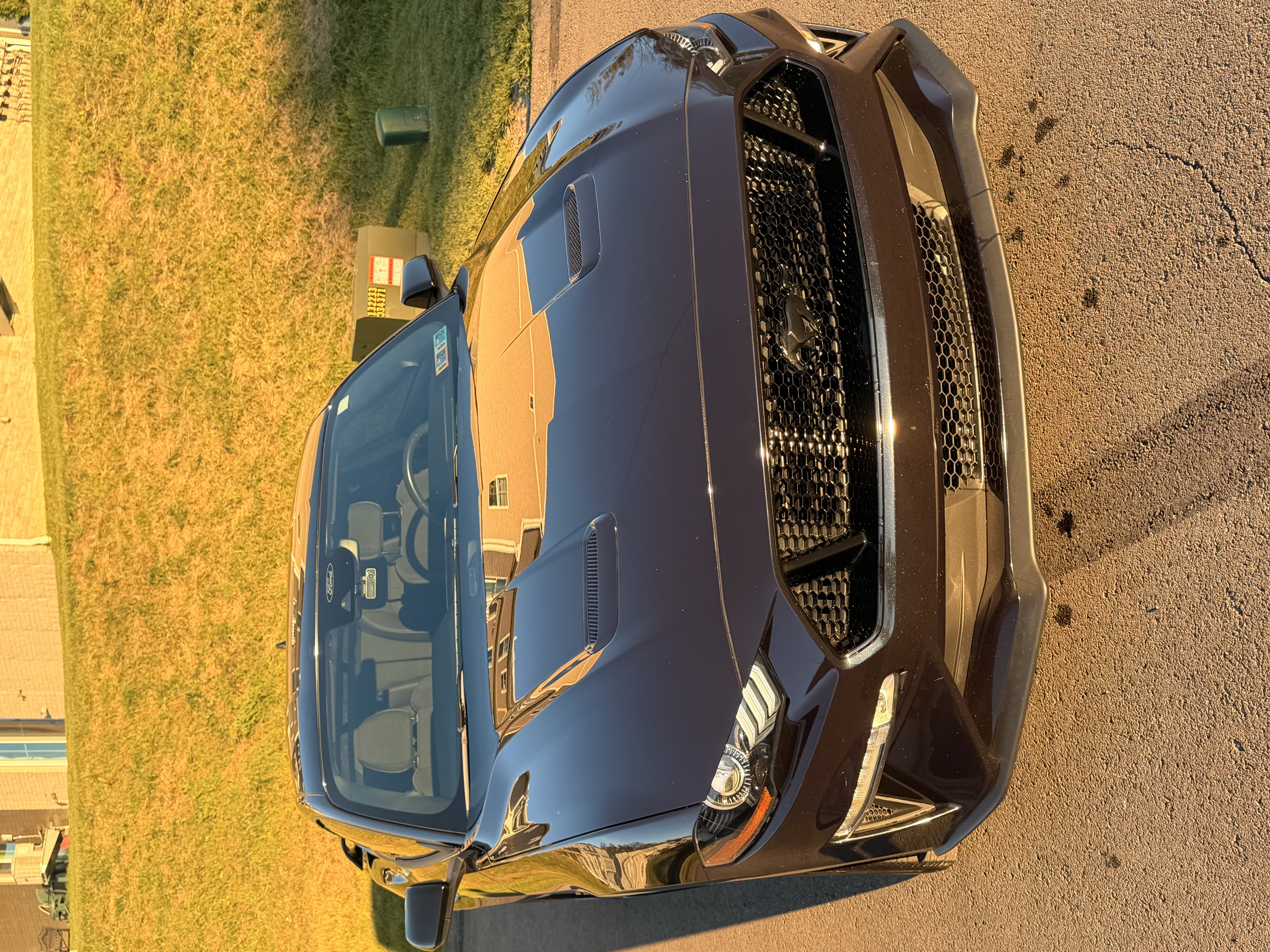 Used 2022 Ford Mustang GT w/ Equipment Group 301A RWD image 1