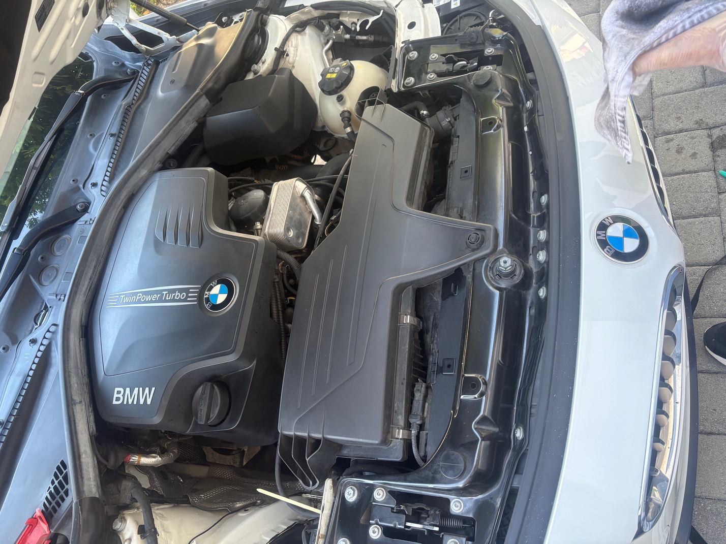 Used 2014 BMW 428i Coupe RWD image 12