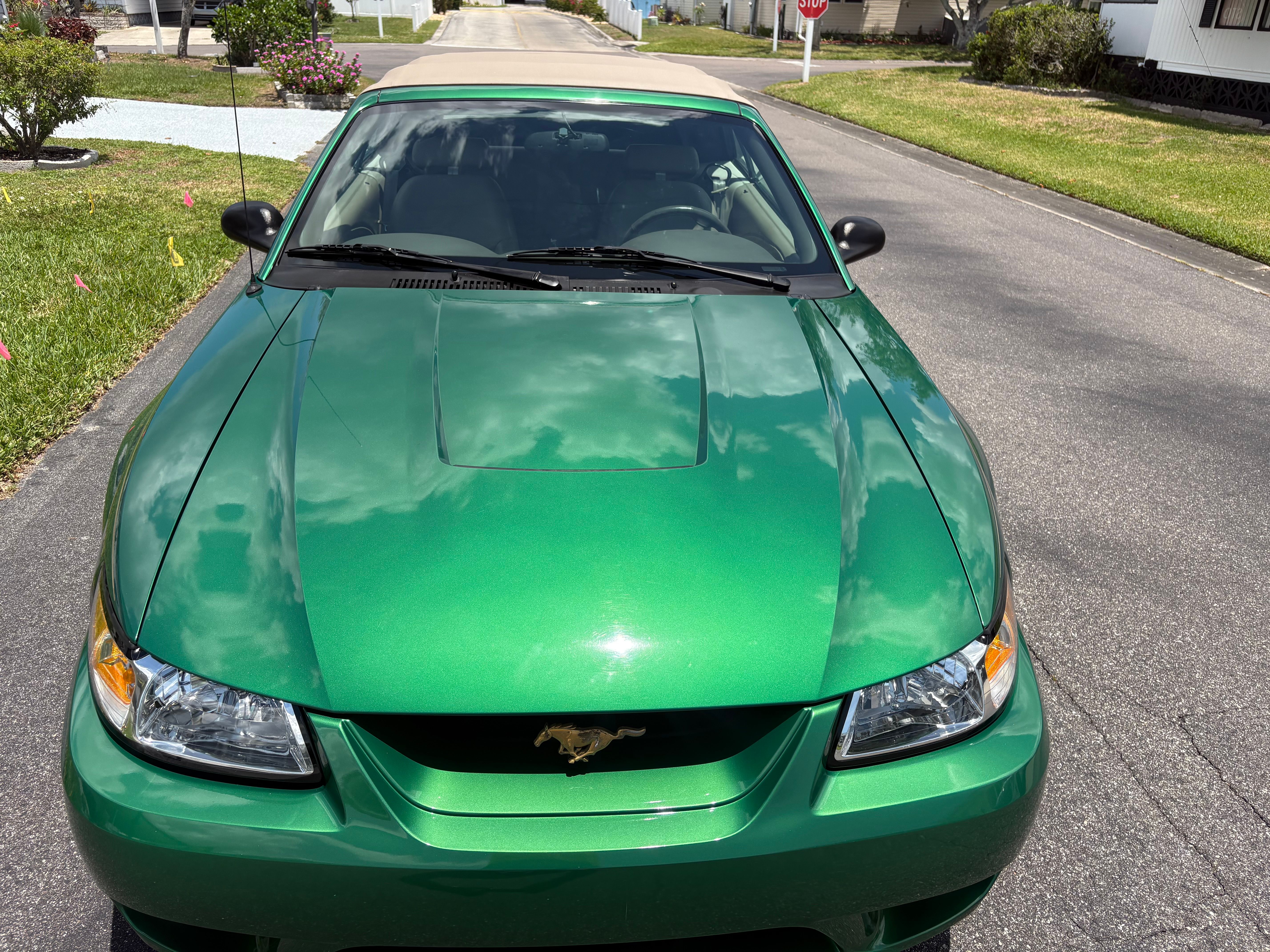 Used 1999 Ford Mustang Cobra RWD image 6