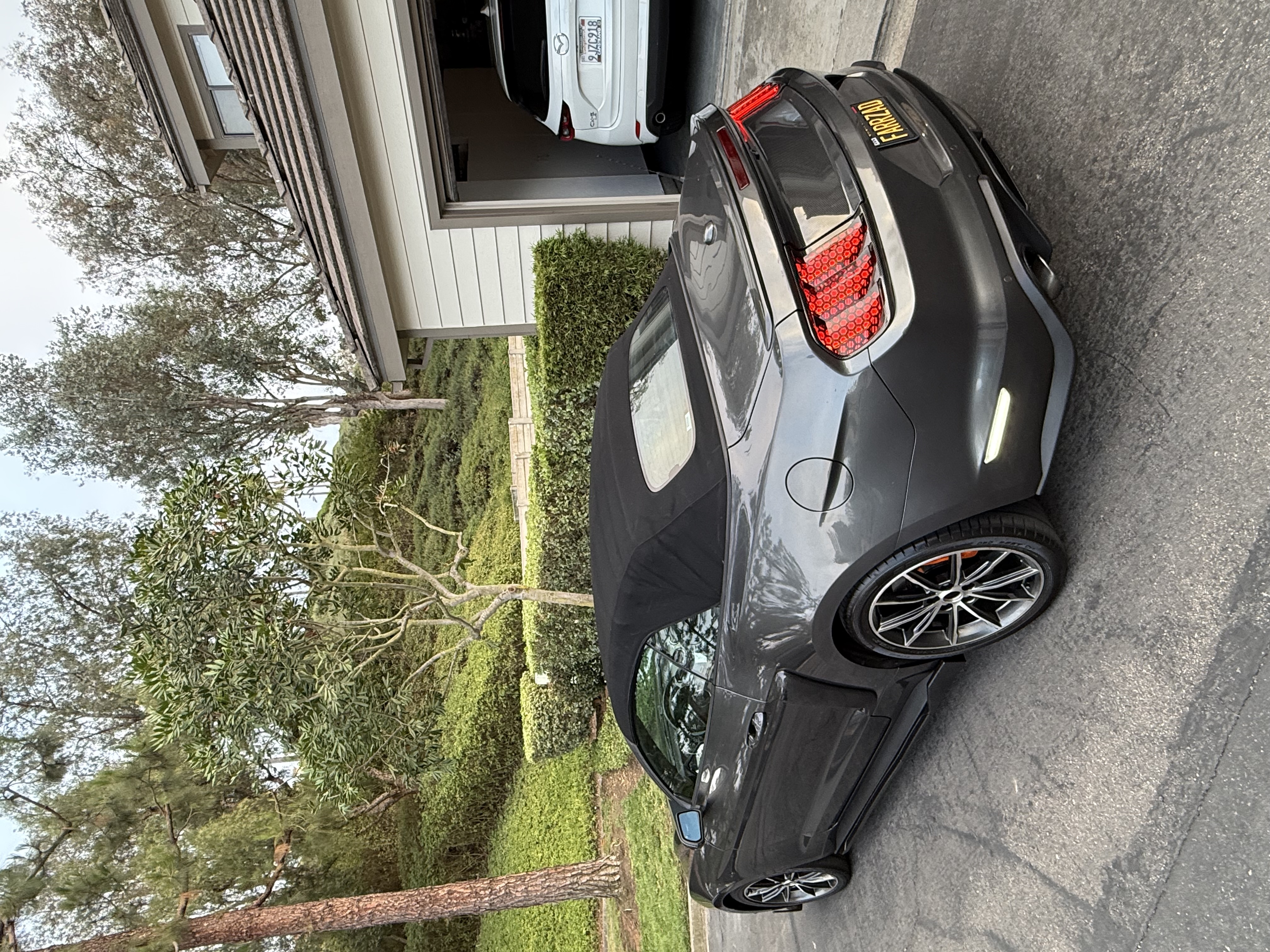 Used 2019 Ford Mustang Premium w/ Equipment Group 201A RWD image 15