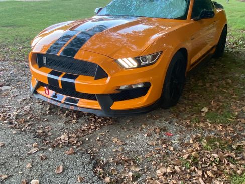 Used 2019 Ford Mustang Shelby GT350 w/ Technology Package image 13