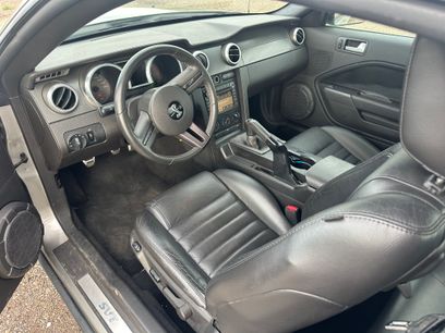 Used 2009 Ford Mustang Shelby GT500