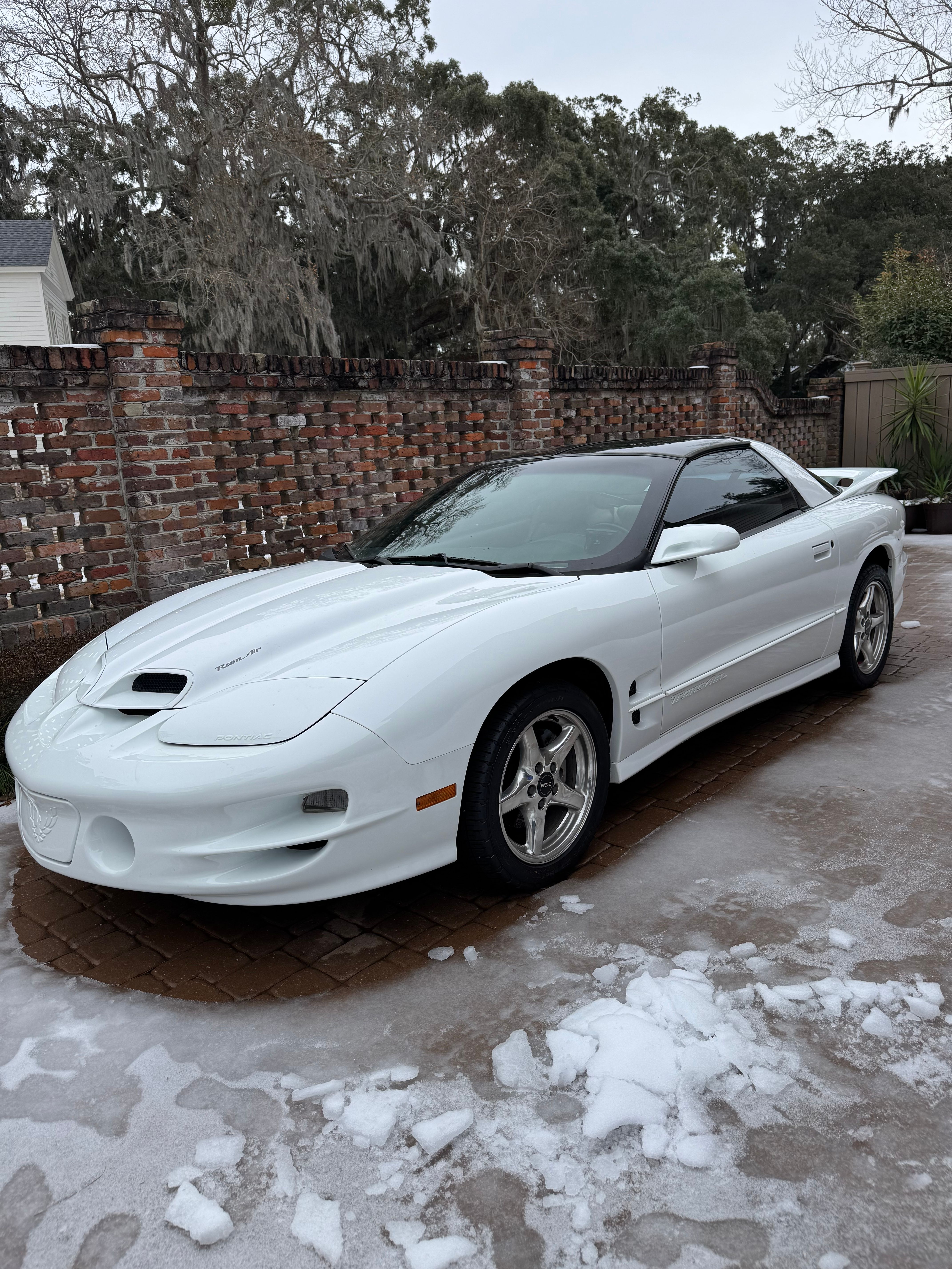 Used 2000 Pontiac Firebird Formula RWD image 11