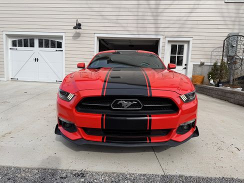 Used 2015 Ford Mustang GT Premium w/ 50 Years Appearance Package image 4