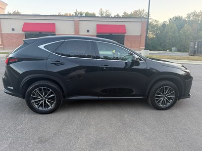 Used 2025 Lexus NX 350h AWD w/ Cold Area Package