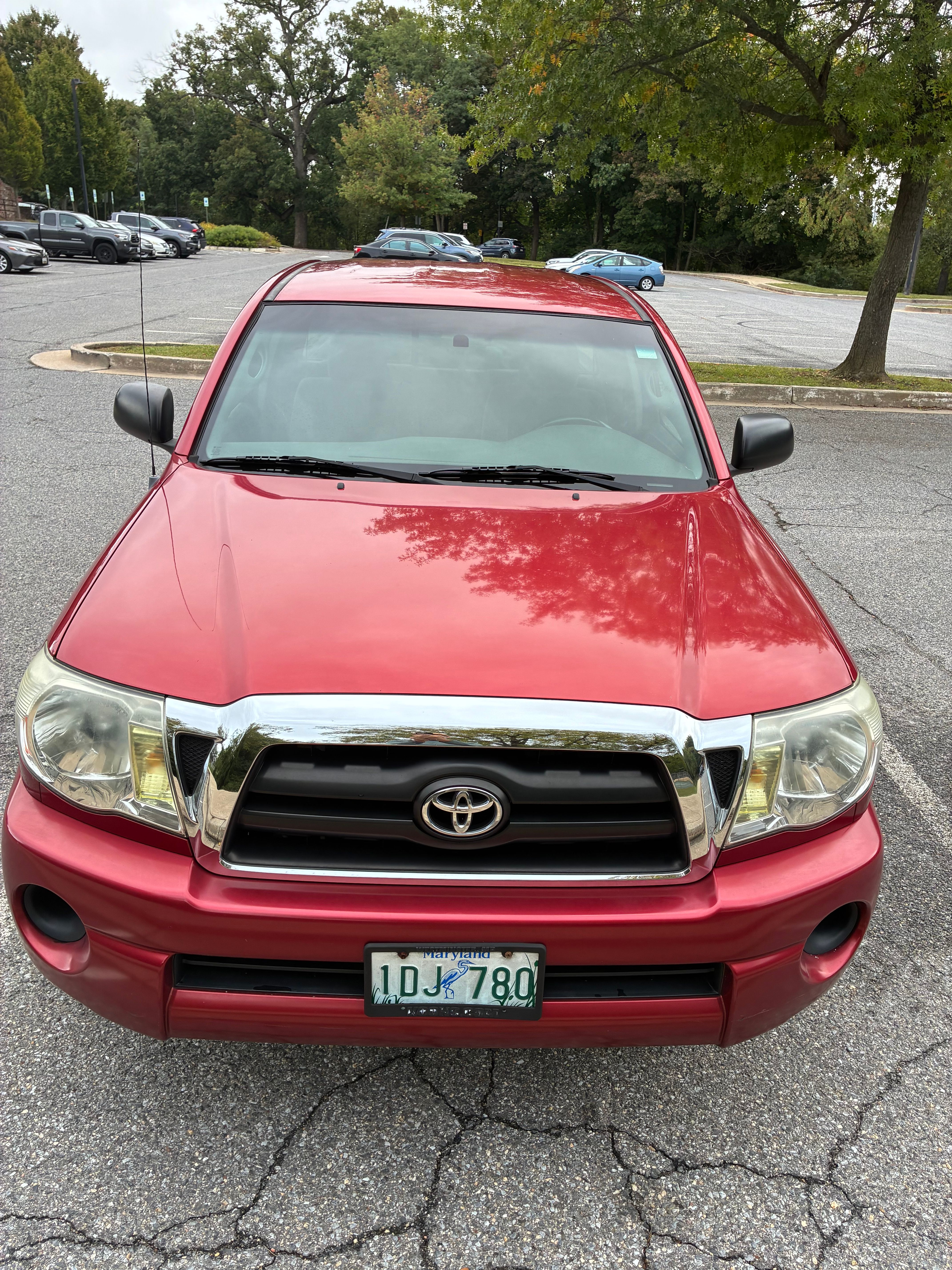 Used 2008 Toyota Tacoma 2WD Access Cab image 10