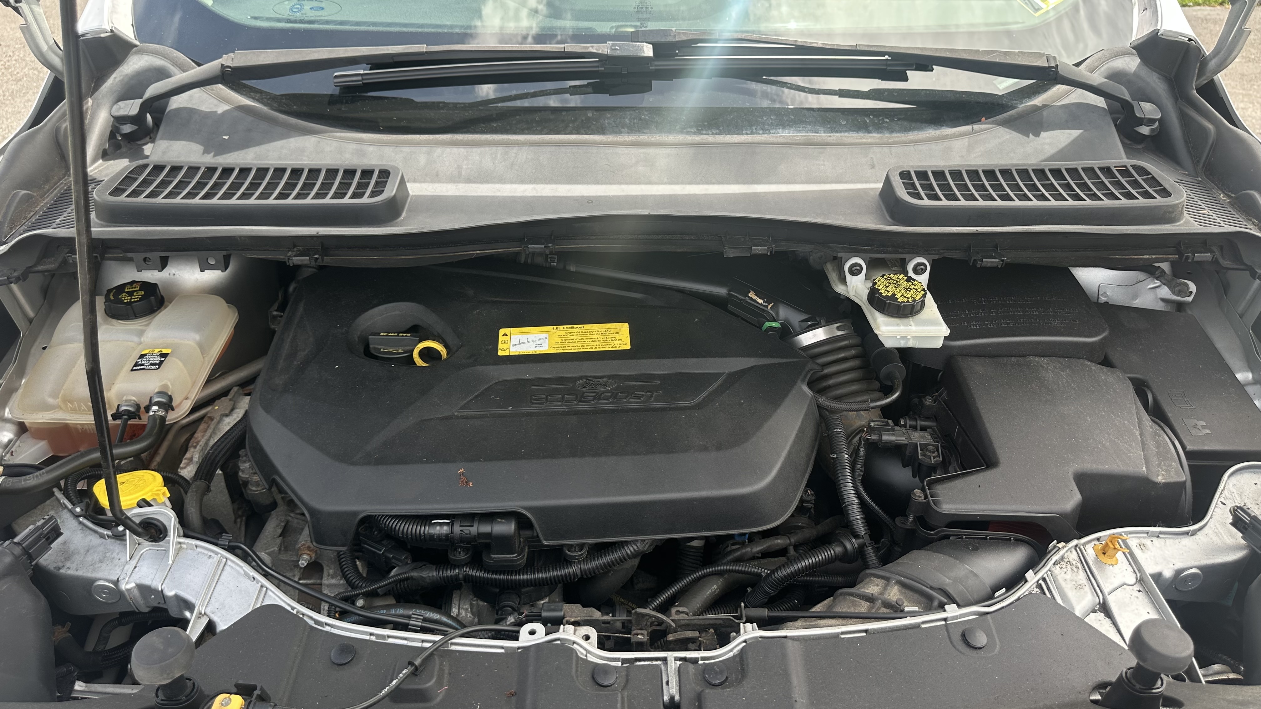 Used 2013 Ford Escape SE AWD/4WD image 11