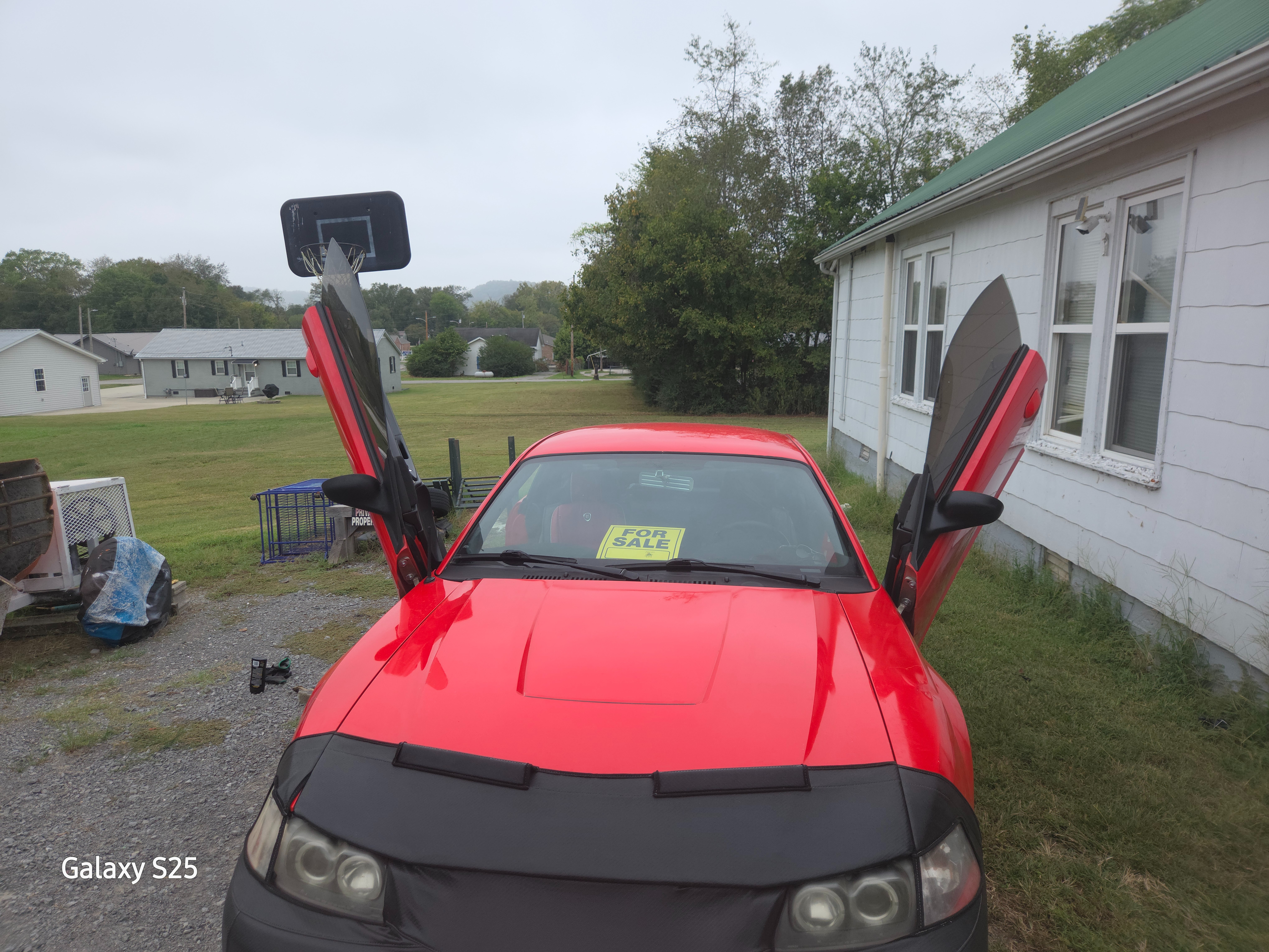 Used 2001 Ford Mustang Cobra RWD image 9