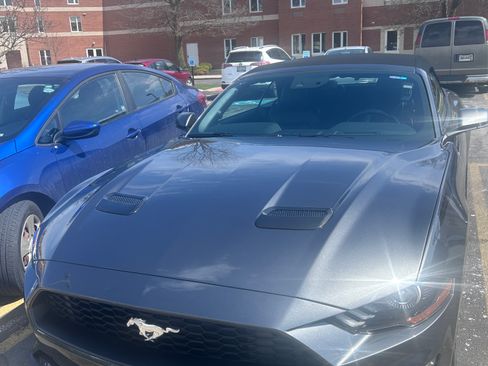 Used 2019 Ford Mustang Premium w/ Equipment Group 201A image 5