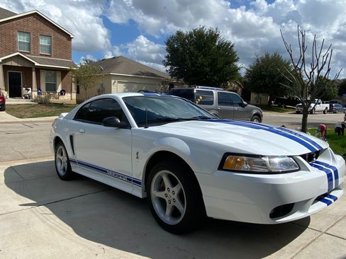 Used 1999 Ford Mustang Cobra RWD image 6