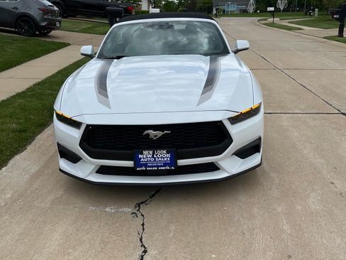 Used 2025 Ford Mustang Premium w/ Wheel & Stripe Package RWD image 2