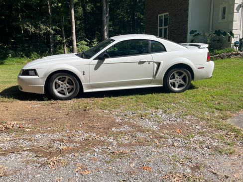 Used 2001 Ford Mustang Cobra RWD image 4
