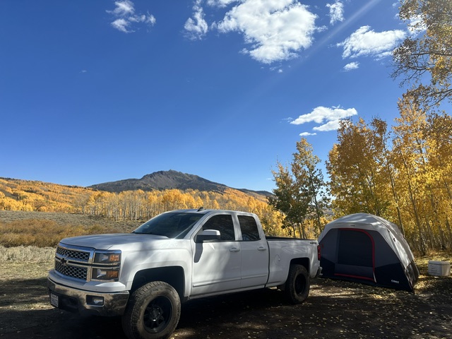 Used 2015 Chevrolet Silverado 1500 LT w/ All Star Edition AWD/4WD image 4