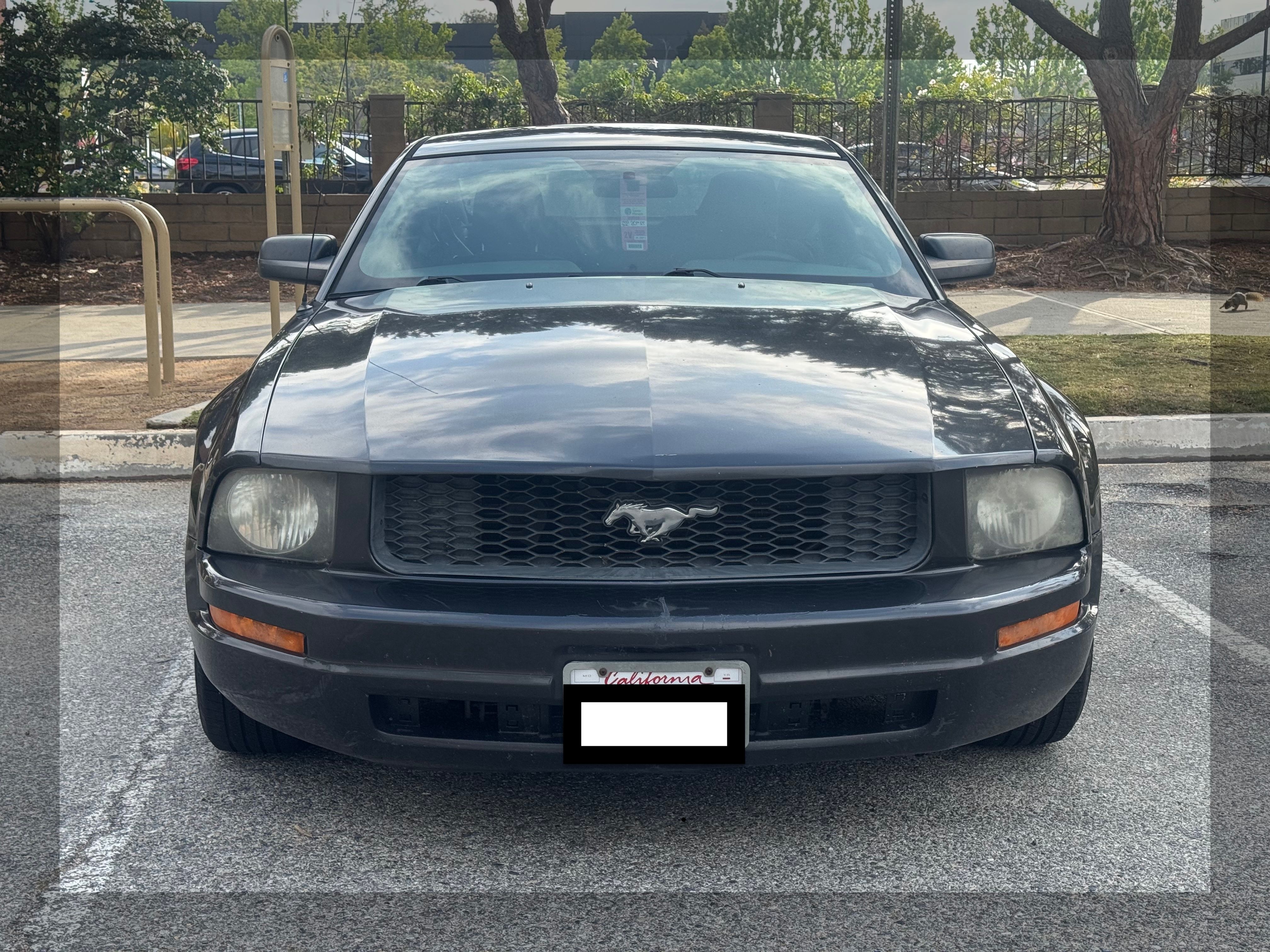Used 2008 Ford Mustang Coupe RWD image 2