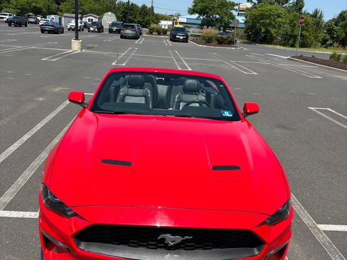 Used 2018 Ford Mustang Premium w/ Equipment Group 201A RWD image 1