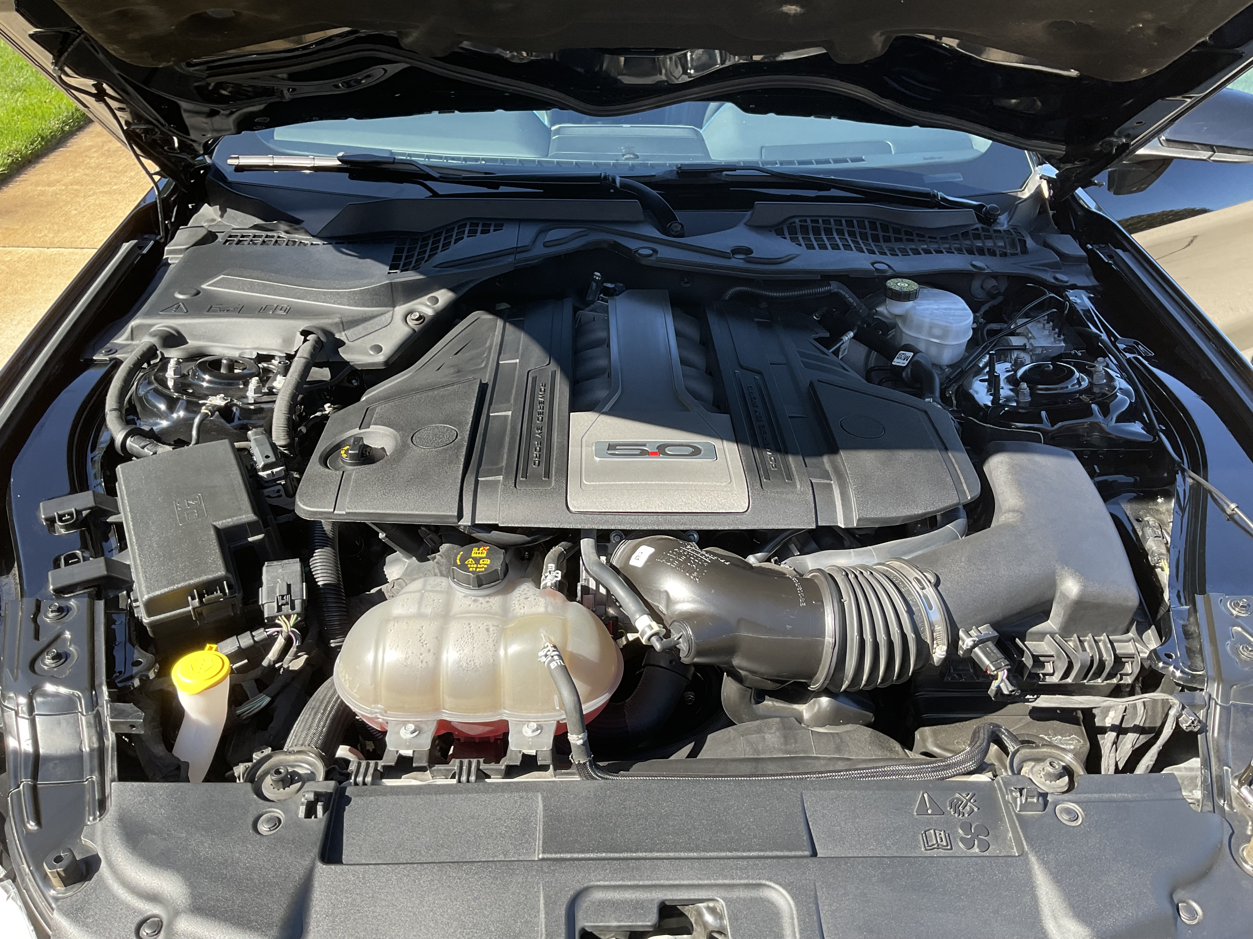 Used 2019 Ford Mustang GT Premium w/ Equipment Group 401A RWD image 11