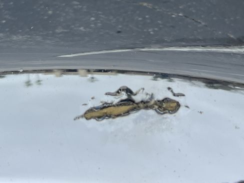 Used 2013 Chevrolet Silverado 1500 LT w/ All-Star Edition image 31