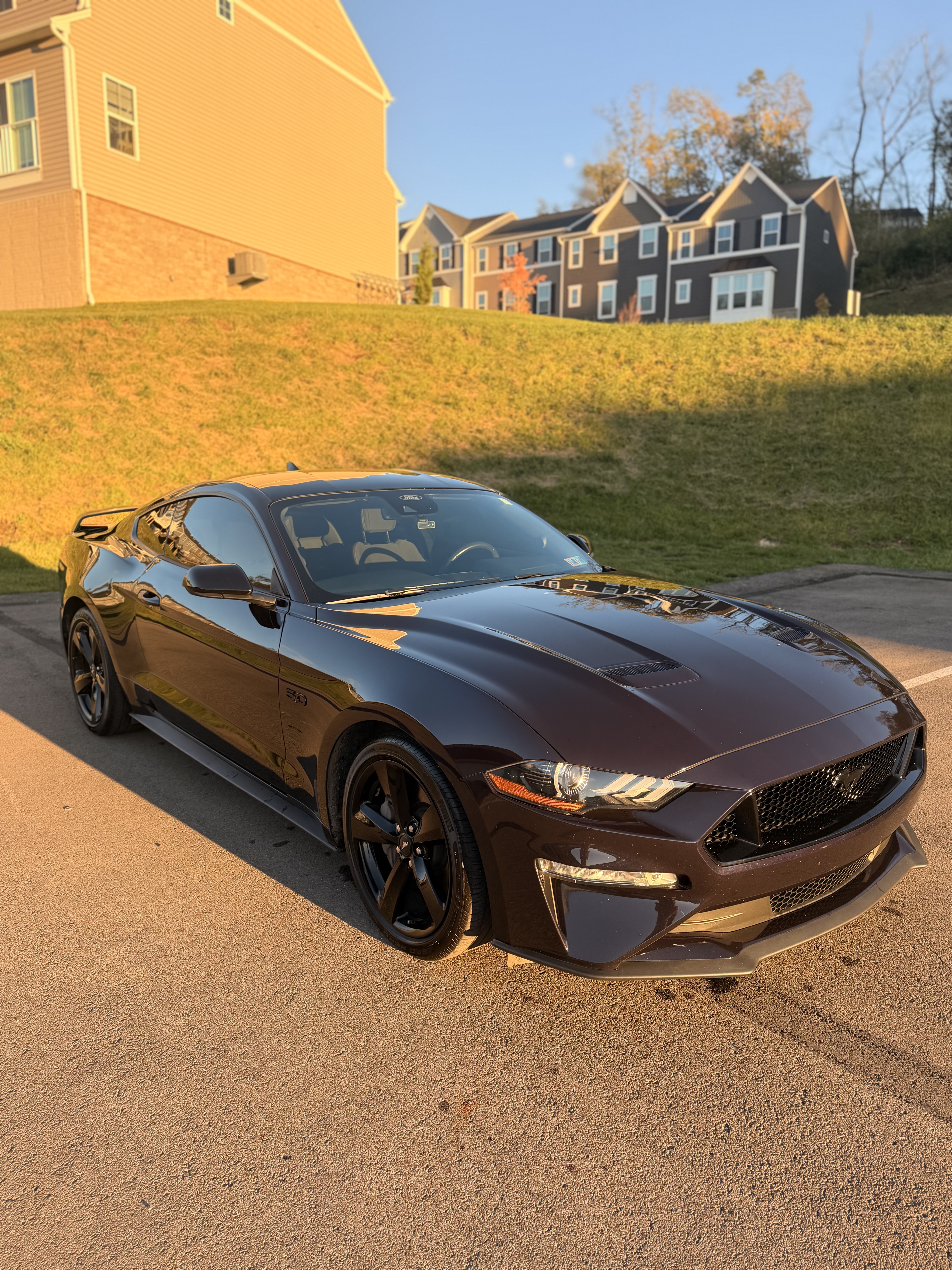 Used 2022 Ford Mustang GT w/ Equipment Group 301A RWD image 4