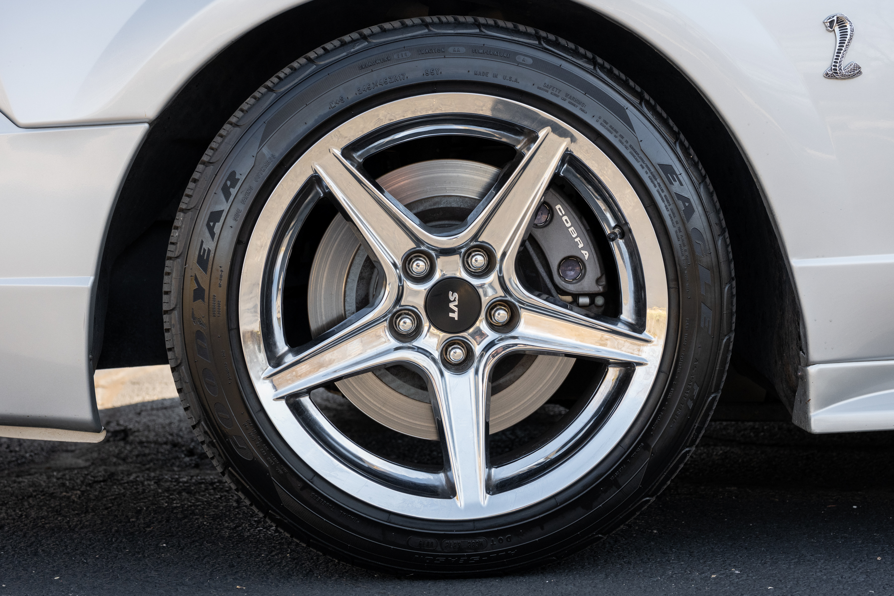 Used 2001 Ford Mustang Cobra RWD image 13