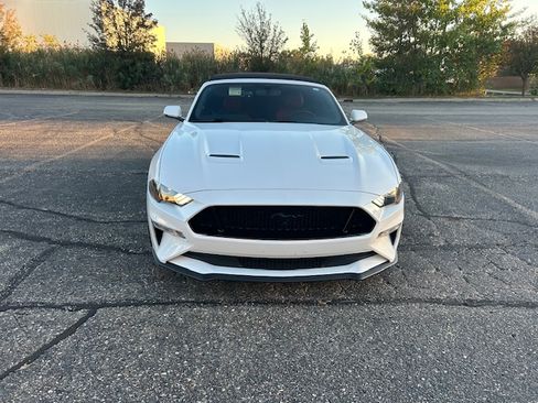 Used 2020 Ford Mustang GT Premium w/ Equipment Group 401A image 6