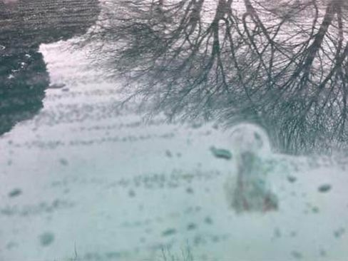 Used 2003 Ford Mustang GT Premium image 6