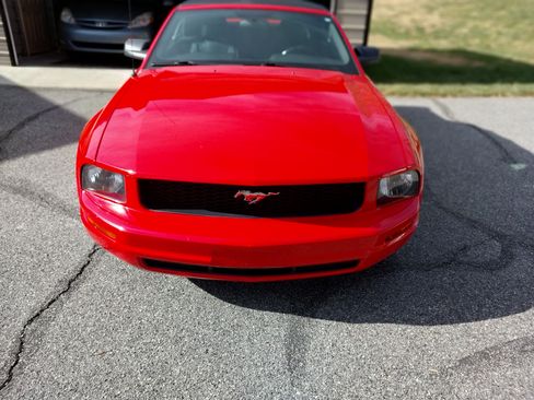 Used 2005 Ford Mustang Deluxe Convertible image 4