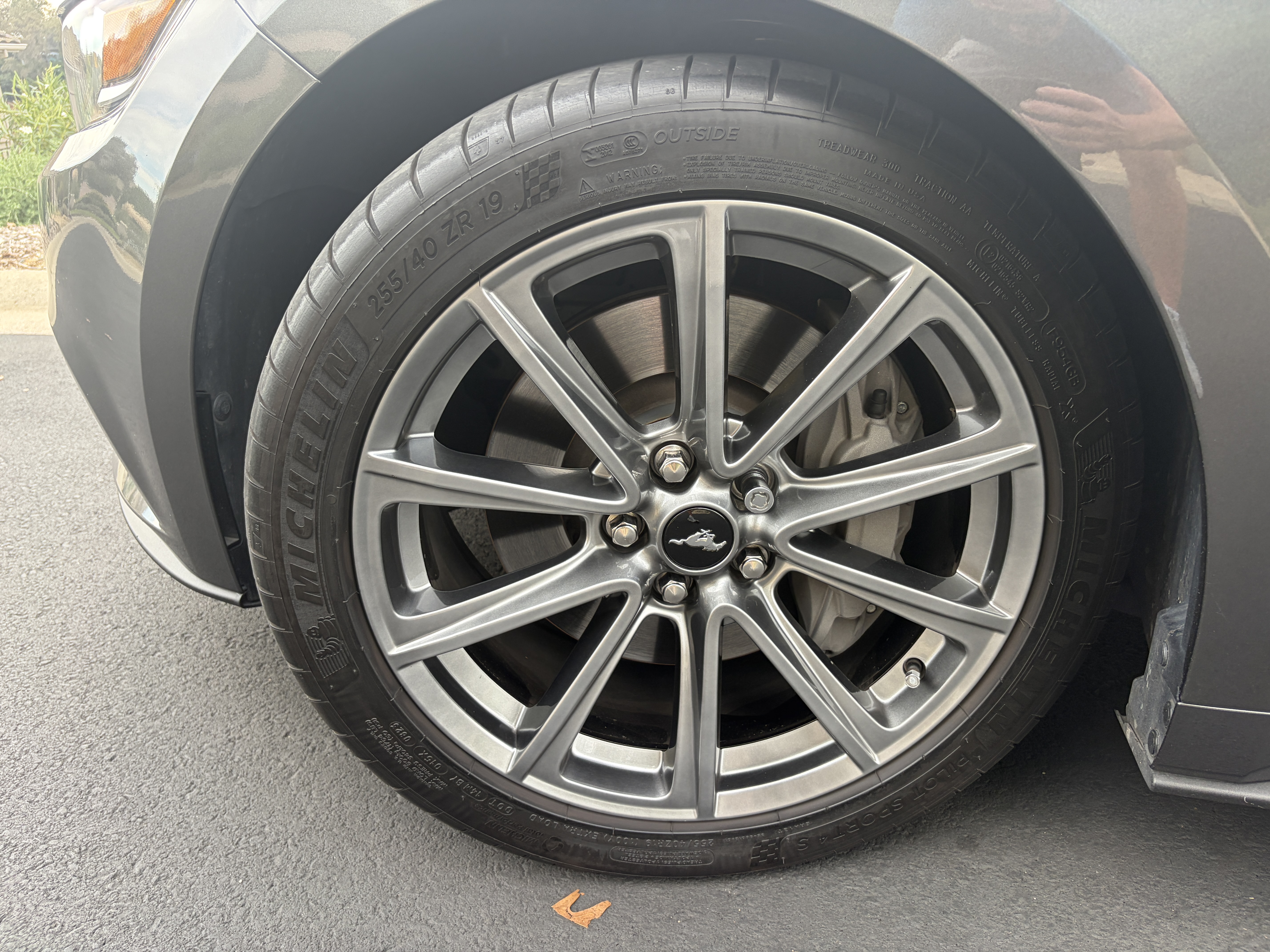 Used 2015 Ford Mustang GT Premium w/ Equipment Group 401A RWD image 14