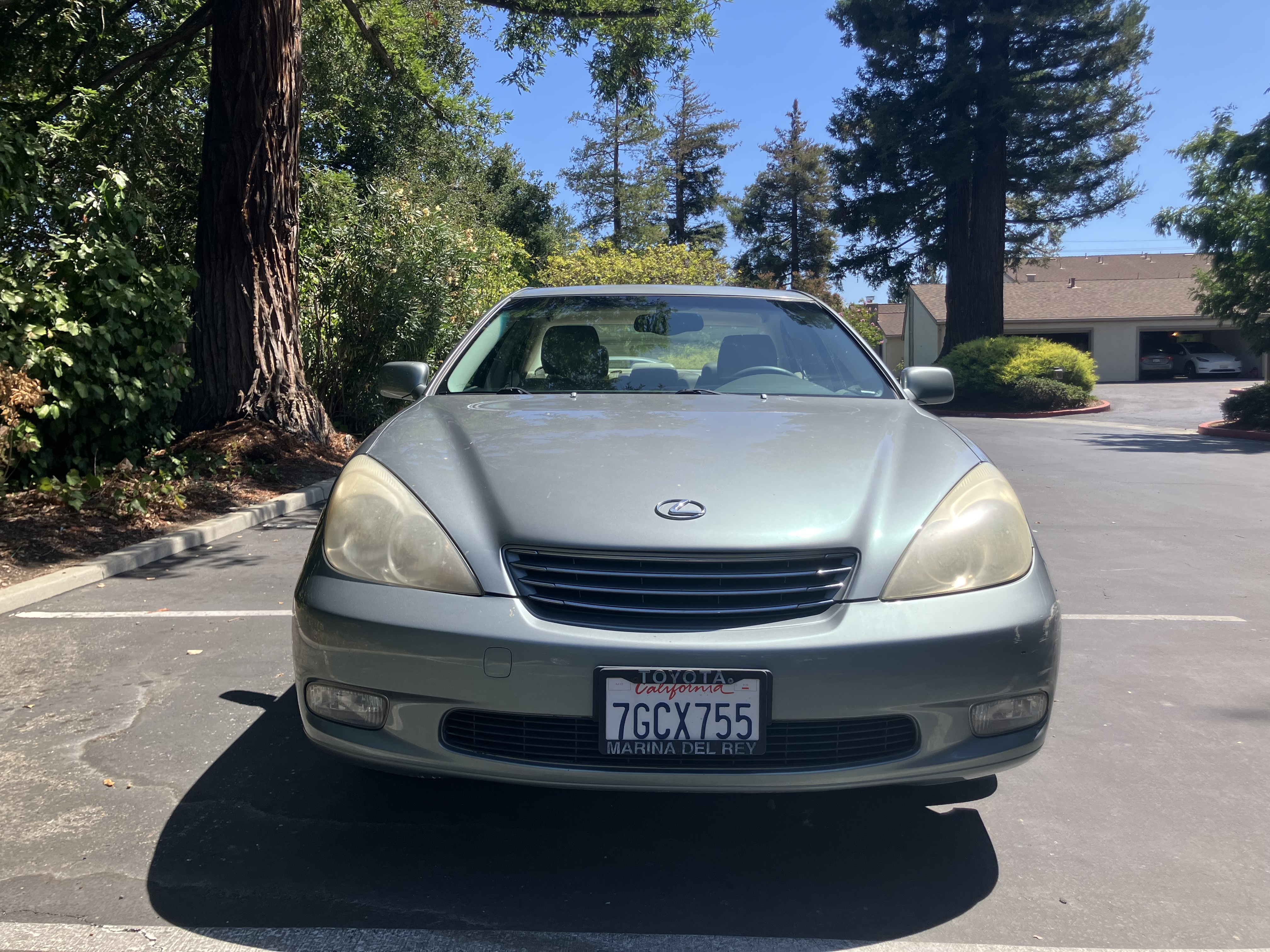 Used 2003 Lexus ES 330 w/ Premium Pkg FWD image 1