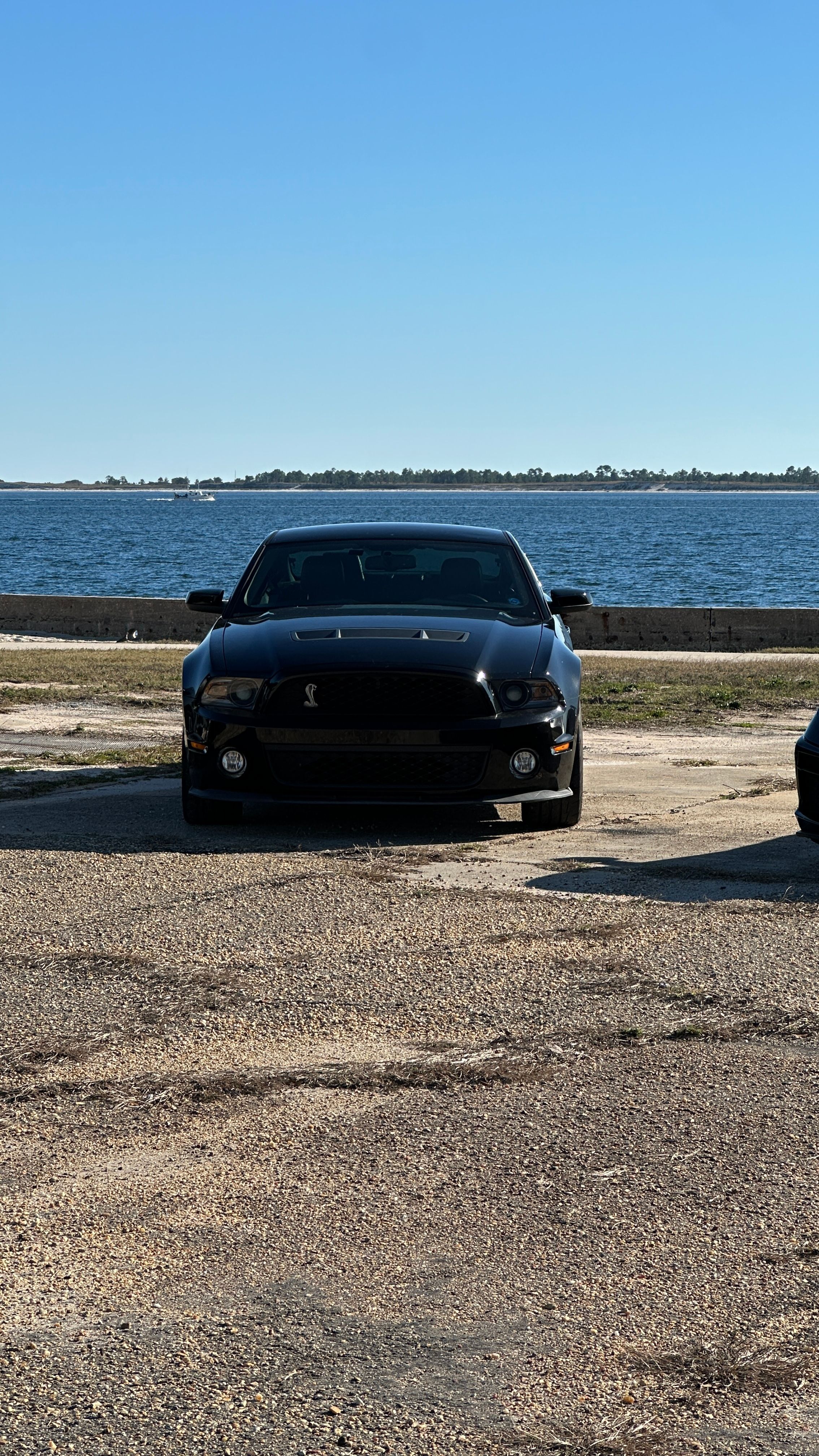 Used 2012 Ford Mustang Shelby GT500 w/ SVT Performance Pkg RWD image 2