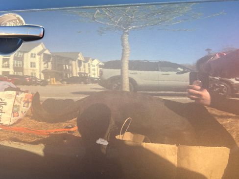 Used 2010 Honda Civic EX image 14