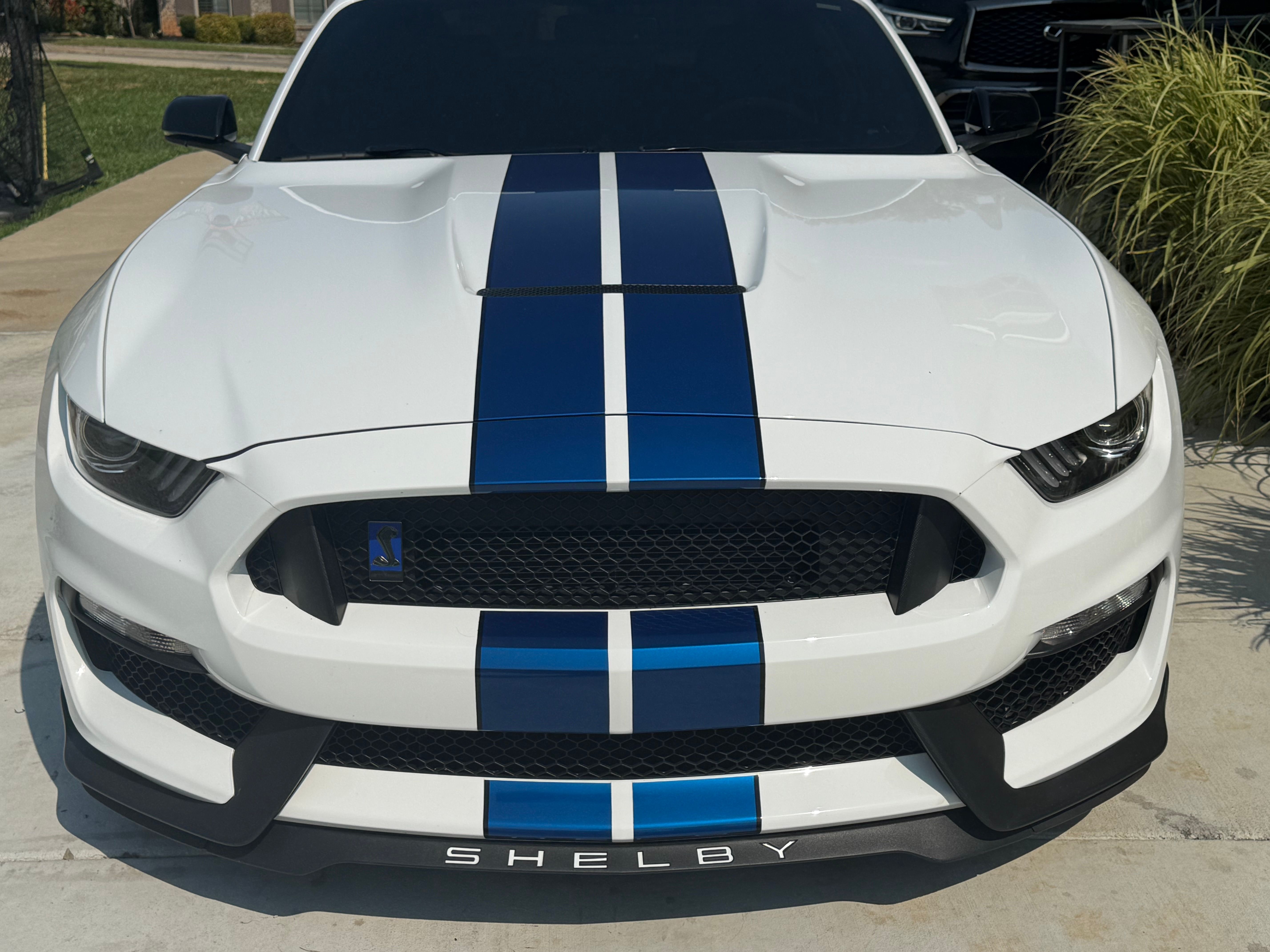 Used 2017 Ford Mustang Shelby GT350 RWD image 16