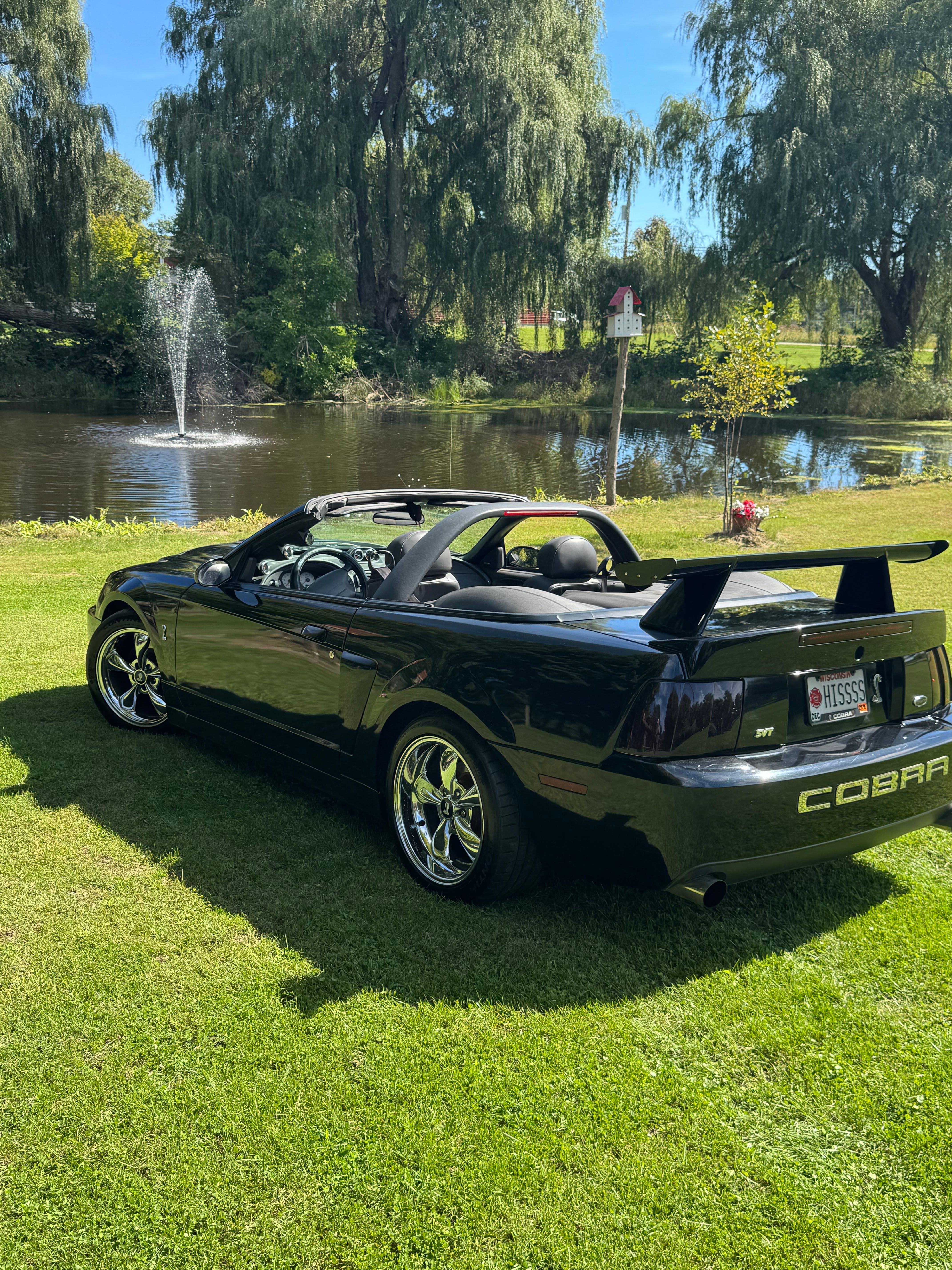 Used 2004 Ford Mustang Cobra RWD image 12