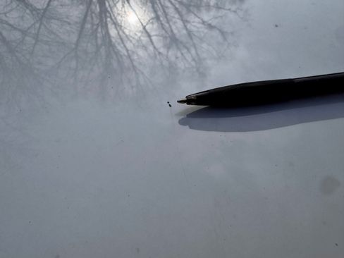 Used 2023 Toyota Tacoma SR5 image 16