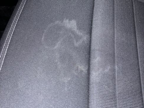 Used 2019 Ford Ranger XLT w/ Equipment Group 301A Mid image 19