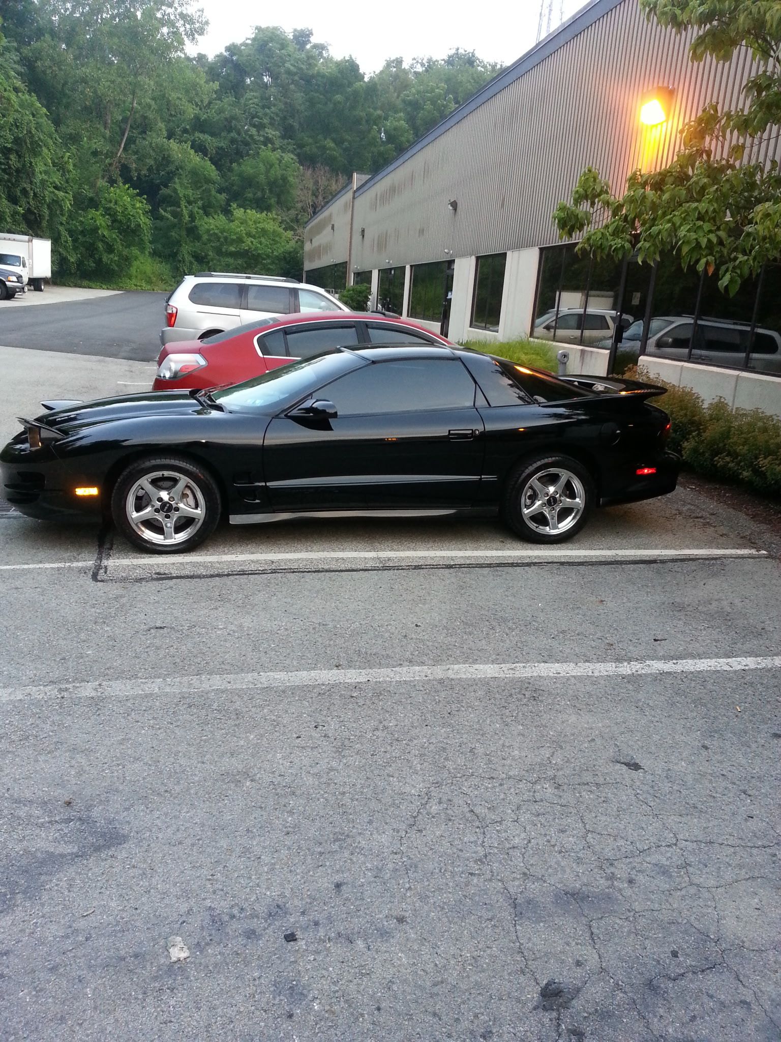 Used 2000 Pontiac Firebird Formula RWD image 5