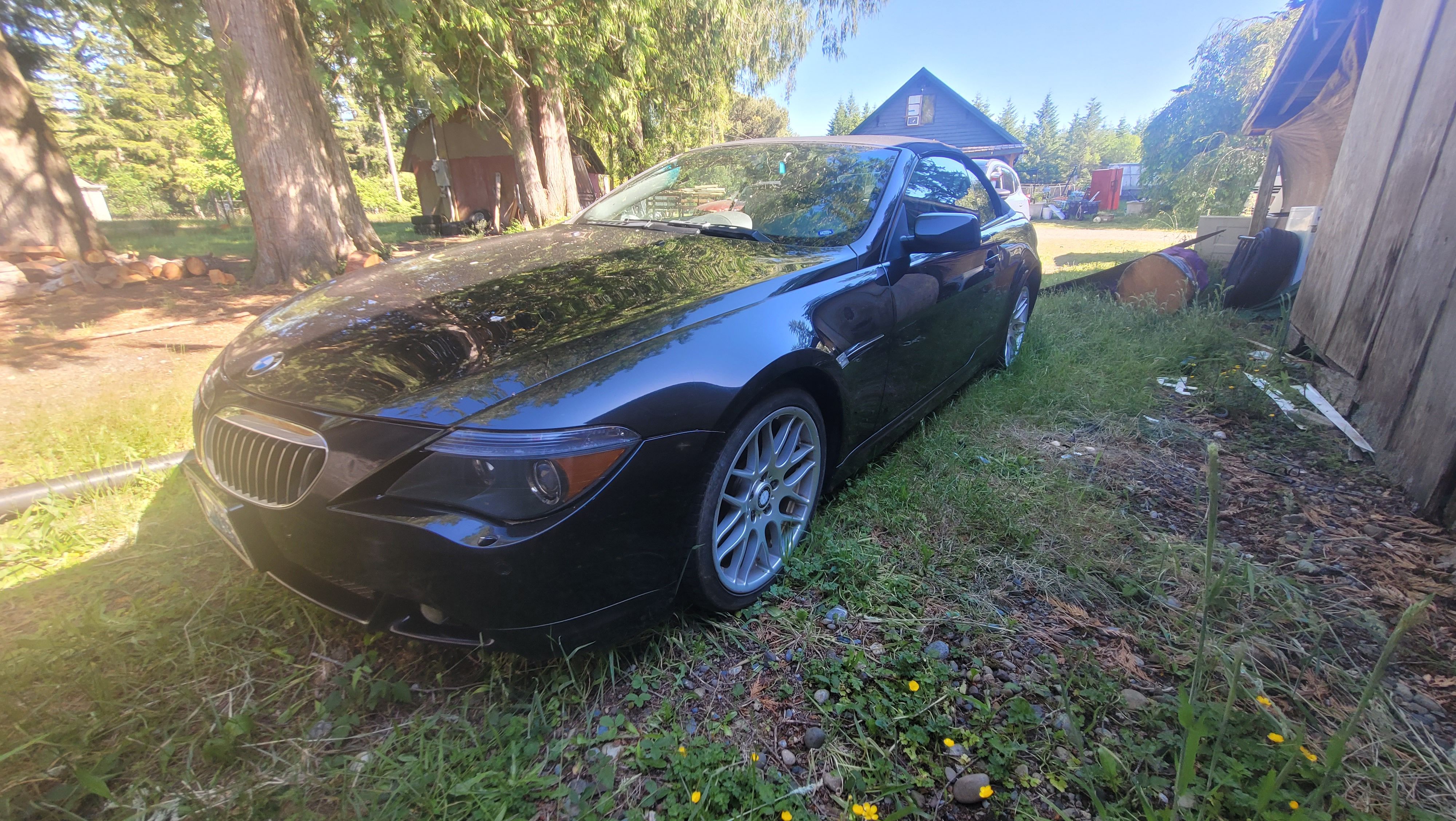 Used 2004 BMW 645Ci Convertible RWD image 5