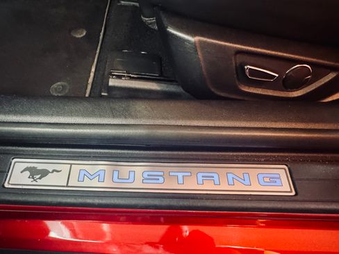 Used 2019 Ford Mustang Premium w/ Equipment Group 201A RWD image 12