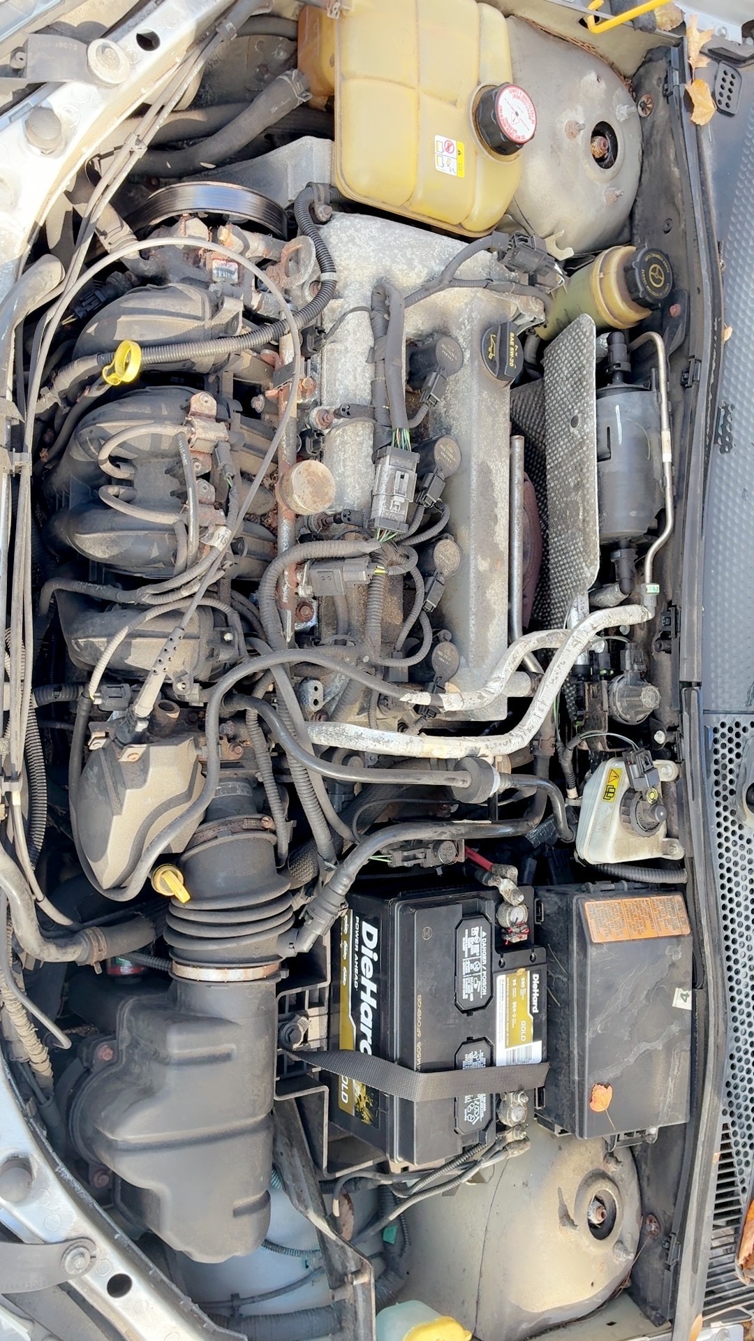 Used 2003 Ford Focus ZX5 Hatchback FWD image 13