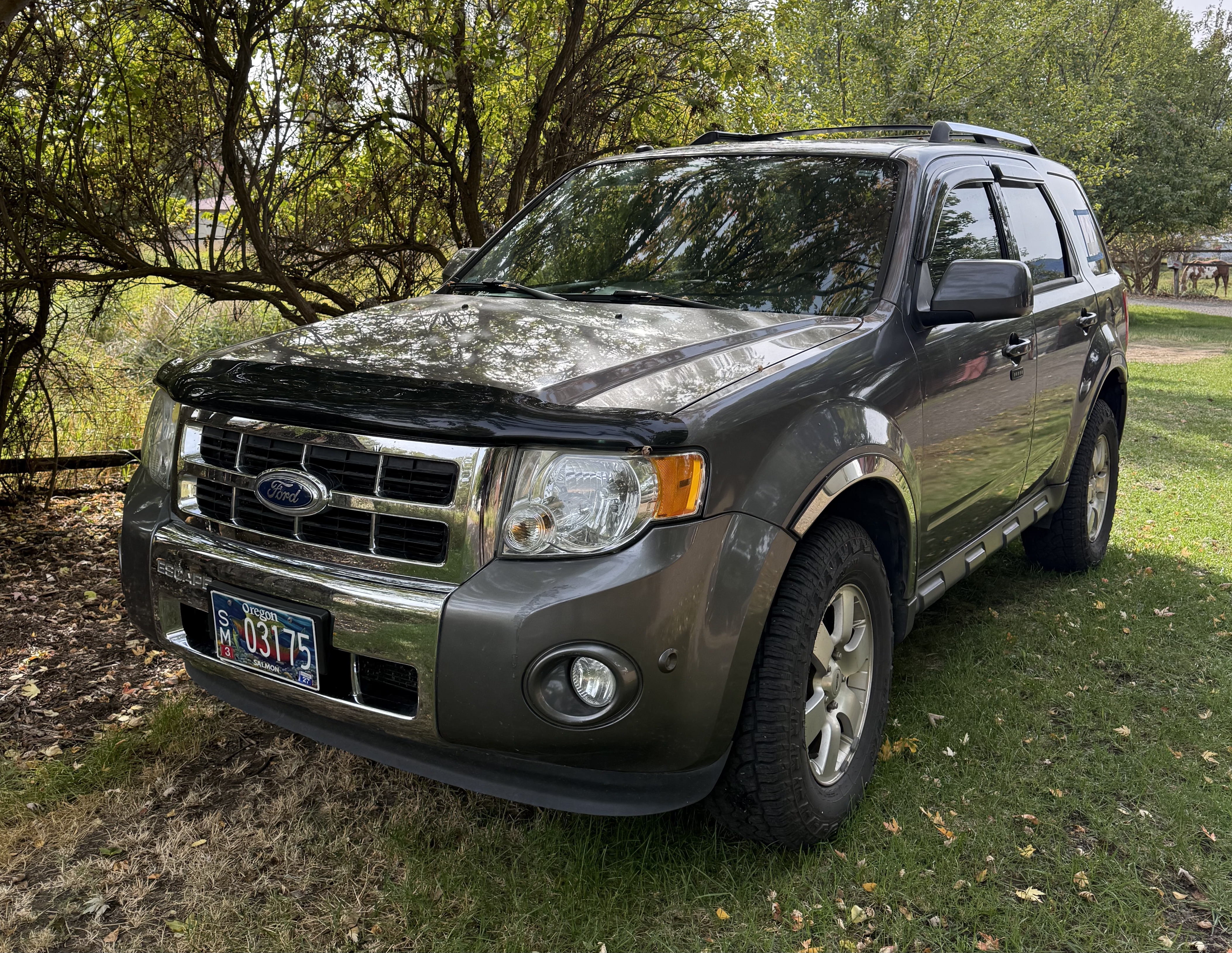 Used 2012 Ford Escape Limited FWD image 2