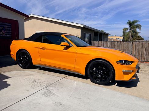 Used 2019 Ford Mustang Premium w/ Equipment Group 201A image 5