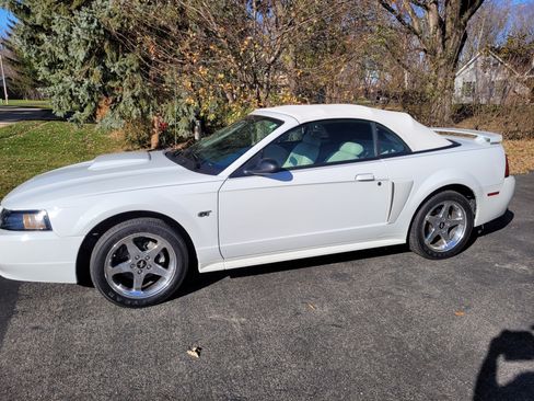Used 2003 Ford Mustang GT Premium image 4