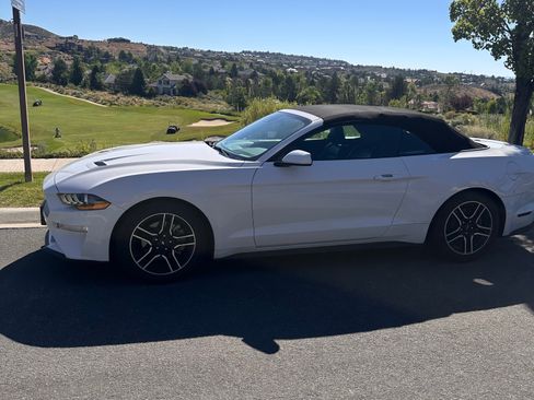 Used 2021 Ford Mustang Premium RWD image 2