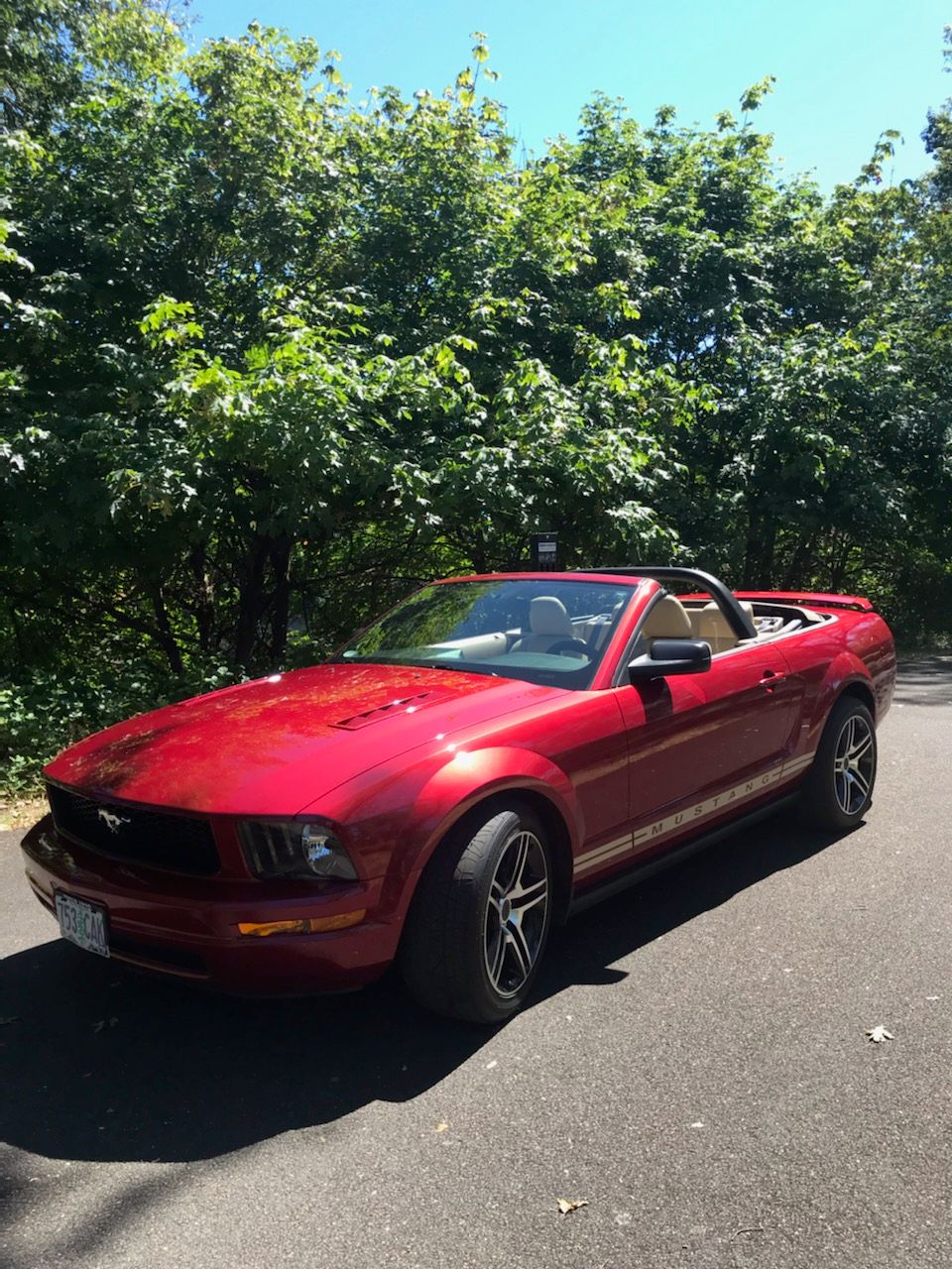 Used 2005 Ford Mustang Premium RWD image 2
