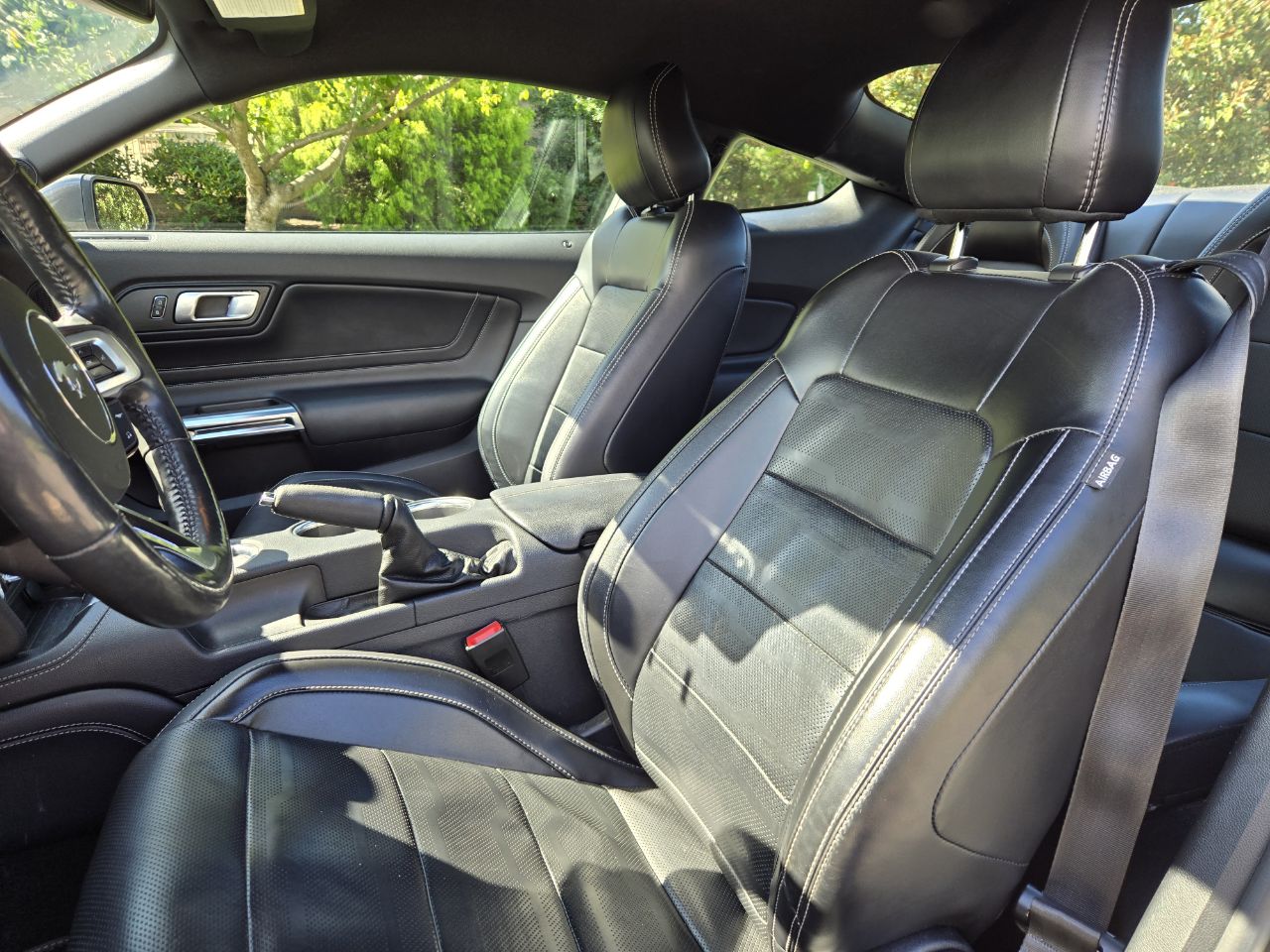 Used 2019 Ford Mustang GT Premium w/ Equipment Group 401A RWD image 12